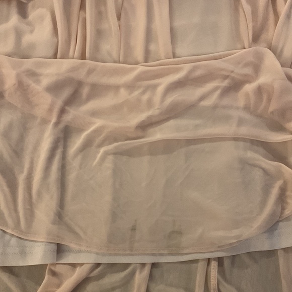 NWT Birdie Grey Elsye Pale Blush Gown! - Picture 9 of 10